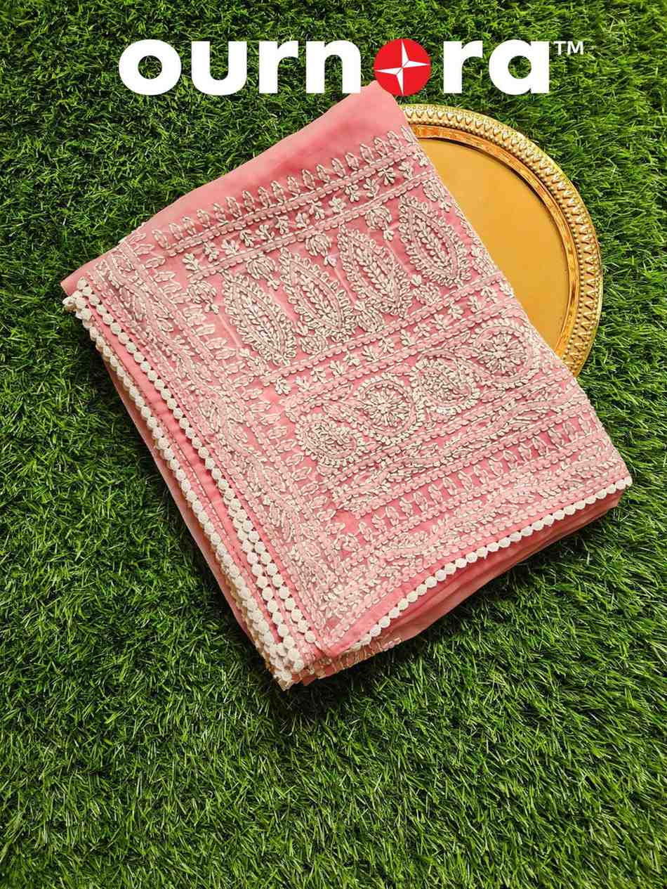 O11AM001 - Organza Chikankari