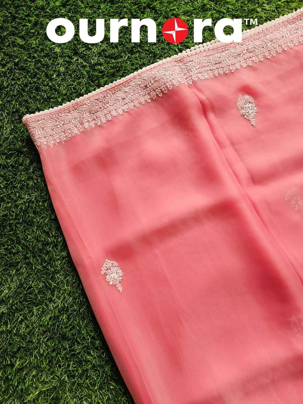 O11AM001 - Organza Chikankari