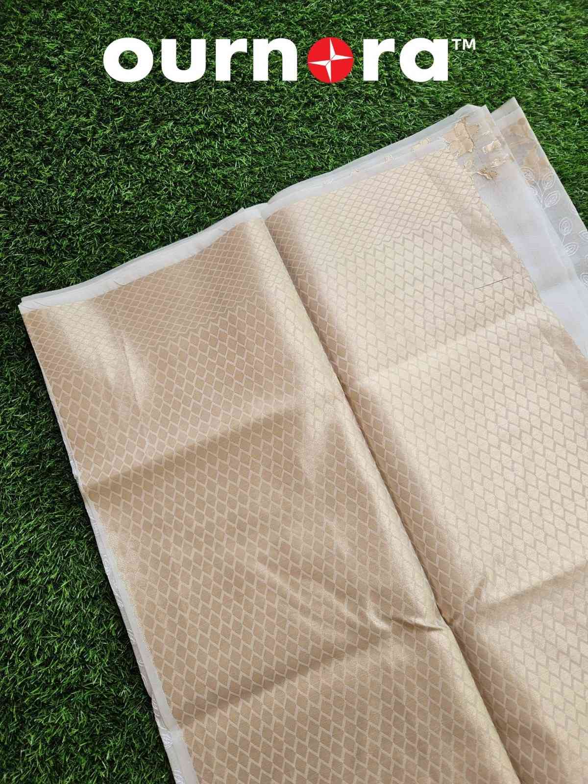 O11Q001- Pure White Organza Saree with Golden Border
